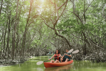 Celestun Kayak Tour : Explore the Mayan Biosphere