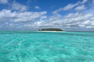 Excursion à l’île de Mnemba – Dauphins, Snorkeling & Banc de Sable