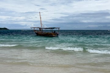 Excursion Safari Blue – Une journée inoubliable en mer !