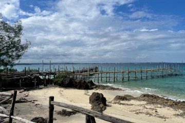 Excursion Prison Island + Visite de Stone Town