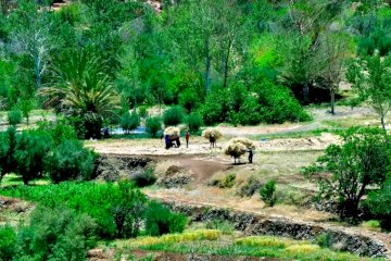A day of excursions in the Atlas