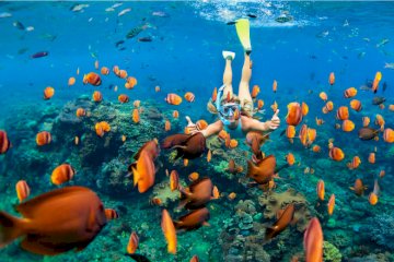 6 DAYS UNFORGETTABLE ZANZIBAR BEACH VACATION.  DAY BY DAY PROGRAM.