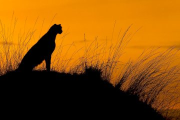7-Day Mid-Range Epic Adventure Safari