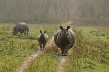 7 Days - Kathmandu, Pokhara and Chitwan package tour